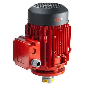 DSM Three Phase Motor