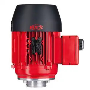 F 430 Three Phase Motor